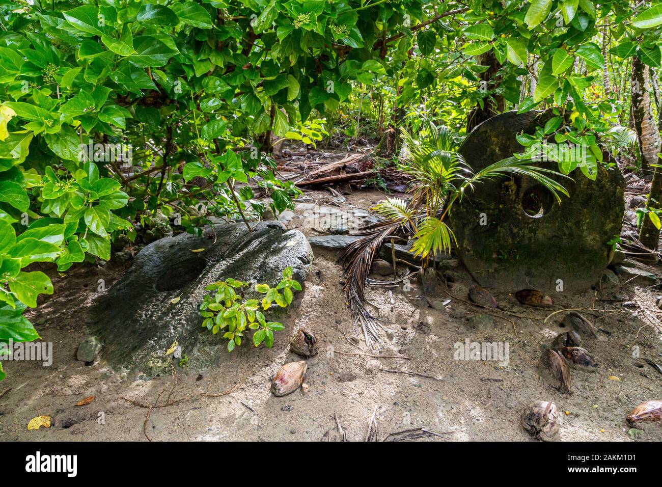 Two giant prehistoric megalithic stone coins or money rai, lying in the sand hidden under trees overgrown in jungle. Yap island, Federated States of M Stock Photo