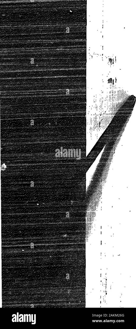 The War Cry . ^^^^^^^^^^^M Stock Photo Alamy