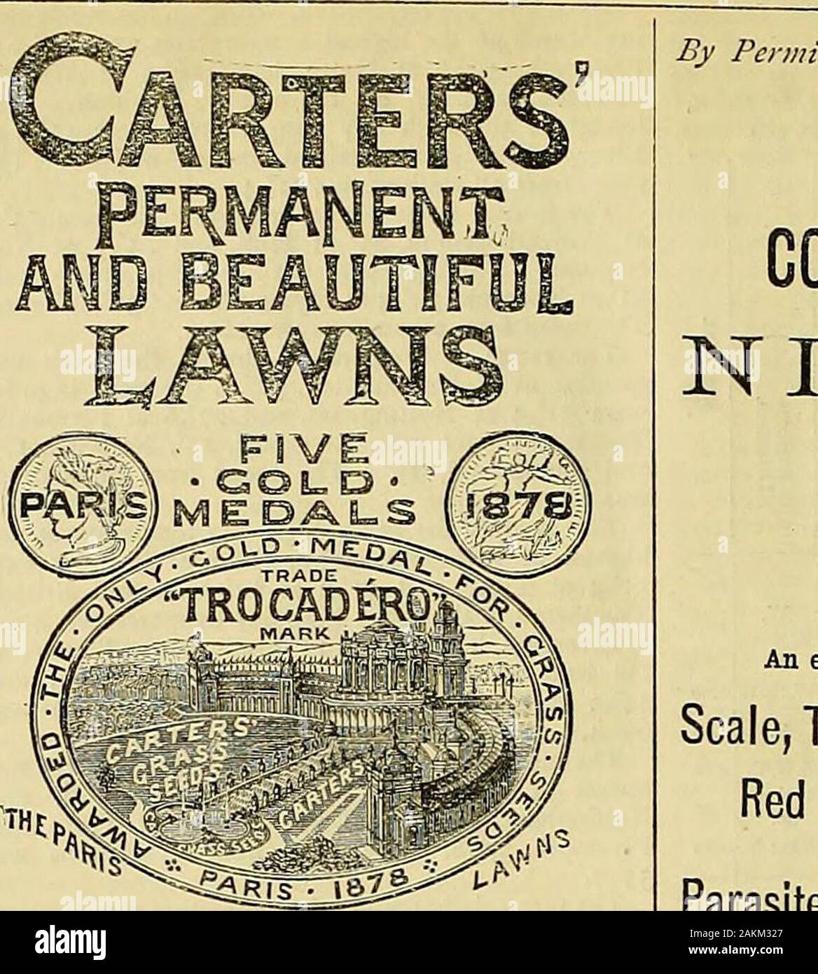 The Gardeners' chronicle : a weekly illustrated journal of horticulture and allied subjects . reds, 4J-. to5J. dd. per bag.—The imports into London last weekwere :—290 bags Bordeaux, 1312 bags Boulogne, 107bags Dunkirk, 1891 bags Ghent, 38,605 bags 200 basketsHamburgh, 1502 bags Antwerp, 40 bags Harlingen, and105 tons Roscoff. COALS. The following are the prices current at market duringthe week :—Bebside West Hartley, 14J. ^d. ; EastWylam, i6j. (id. Walls End—Hetton, i6j. 6d. and js.;Hetton Lyons, 155. and i5J-. 6d. ; Original Hartlepool,i6j. 6(/. and 17^.; South Hetton, 16^. td. and 17^.;Ha Stock Photo