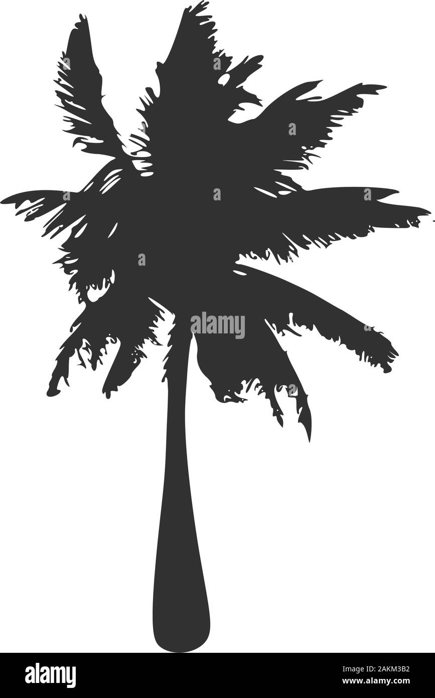 Tropical palm tree silhouette. Stock Vector illustration isolated on ...