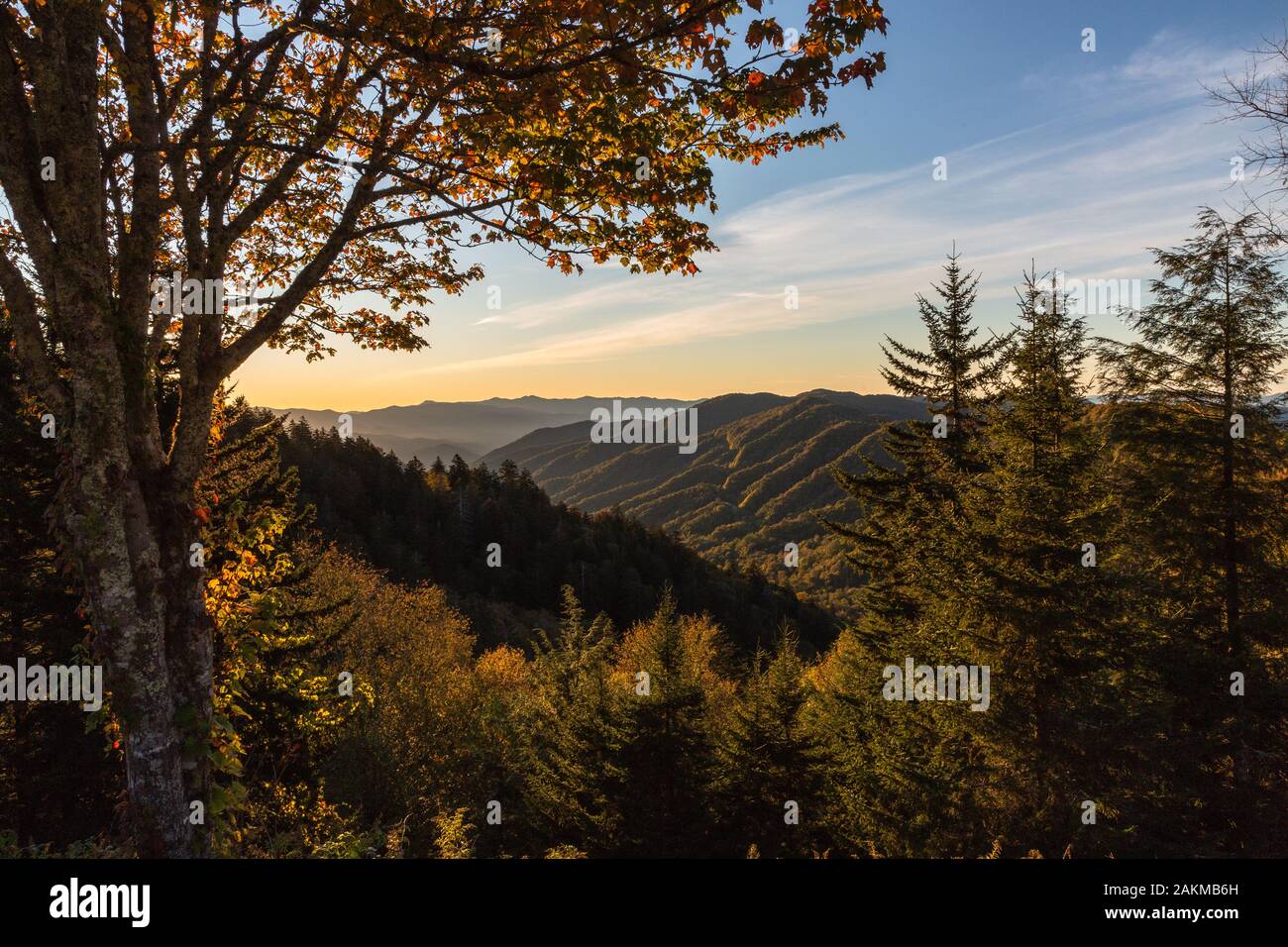Trees and scenic mountains hi-res stock photography and images - Alamy