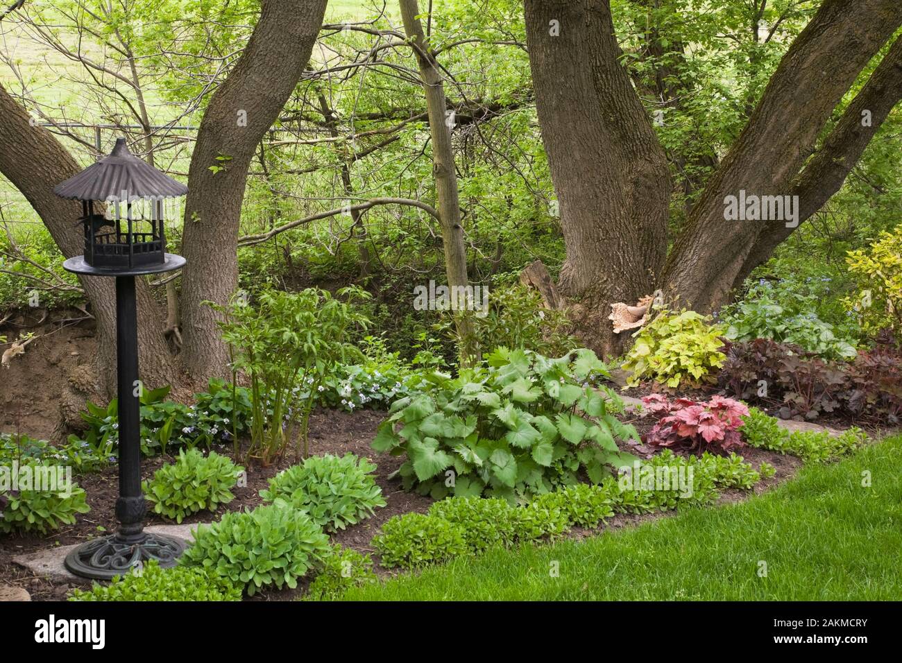 Black metal pedestal bird feeder in border with mixed shrubs, plants and flowers including Paeonia - Peonies, Hylotelephium spectabile - Stonecrops. Stock Photo