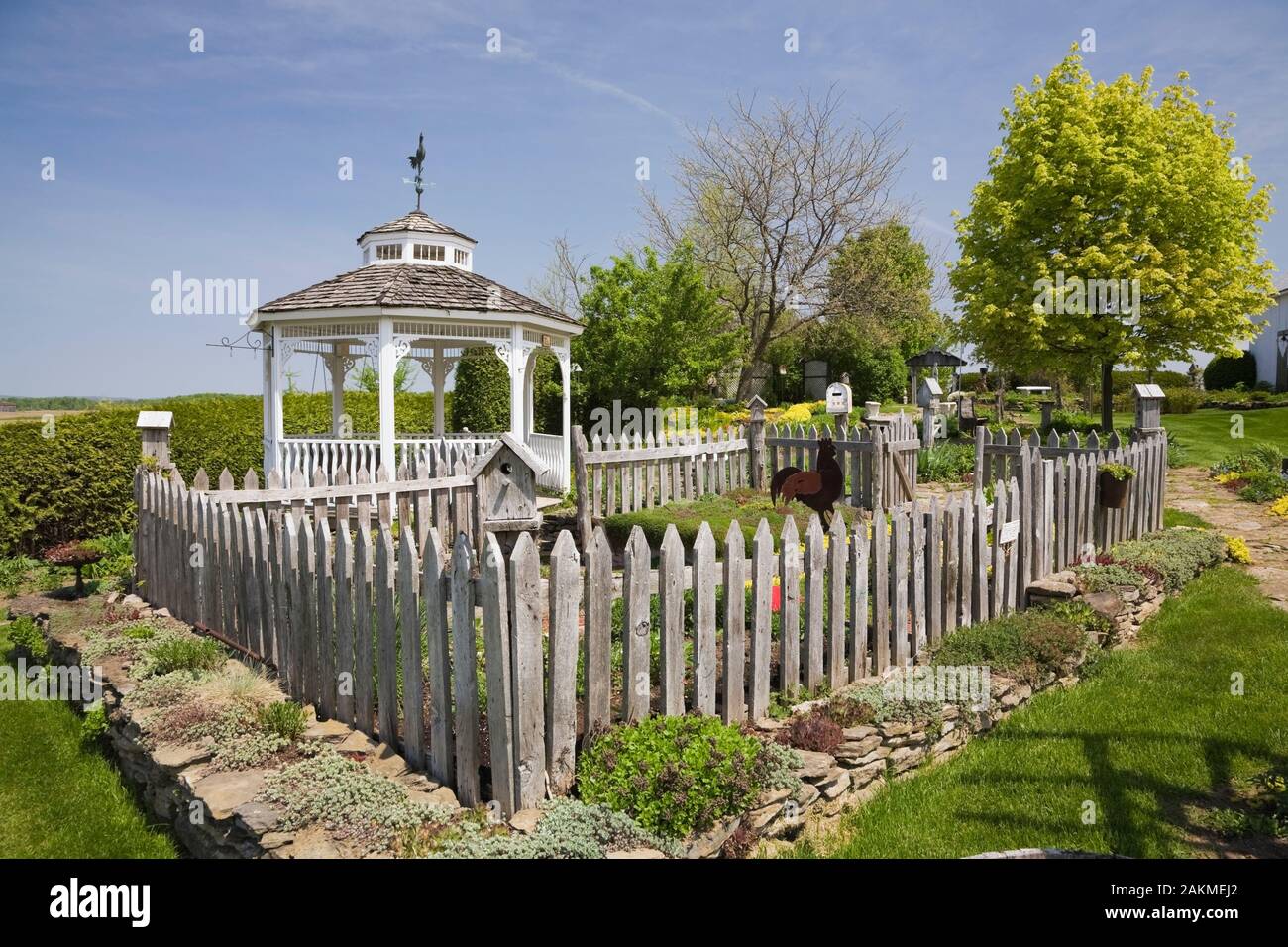 Vegetable garden plot enclosed by old grey weathered wooden rustic ...