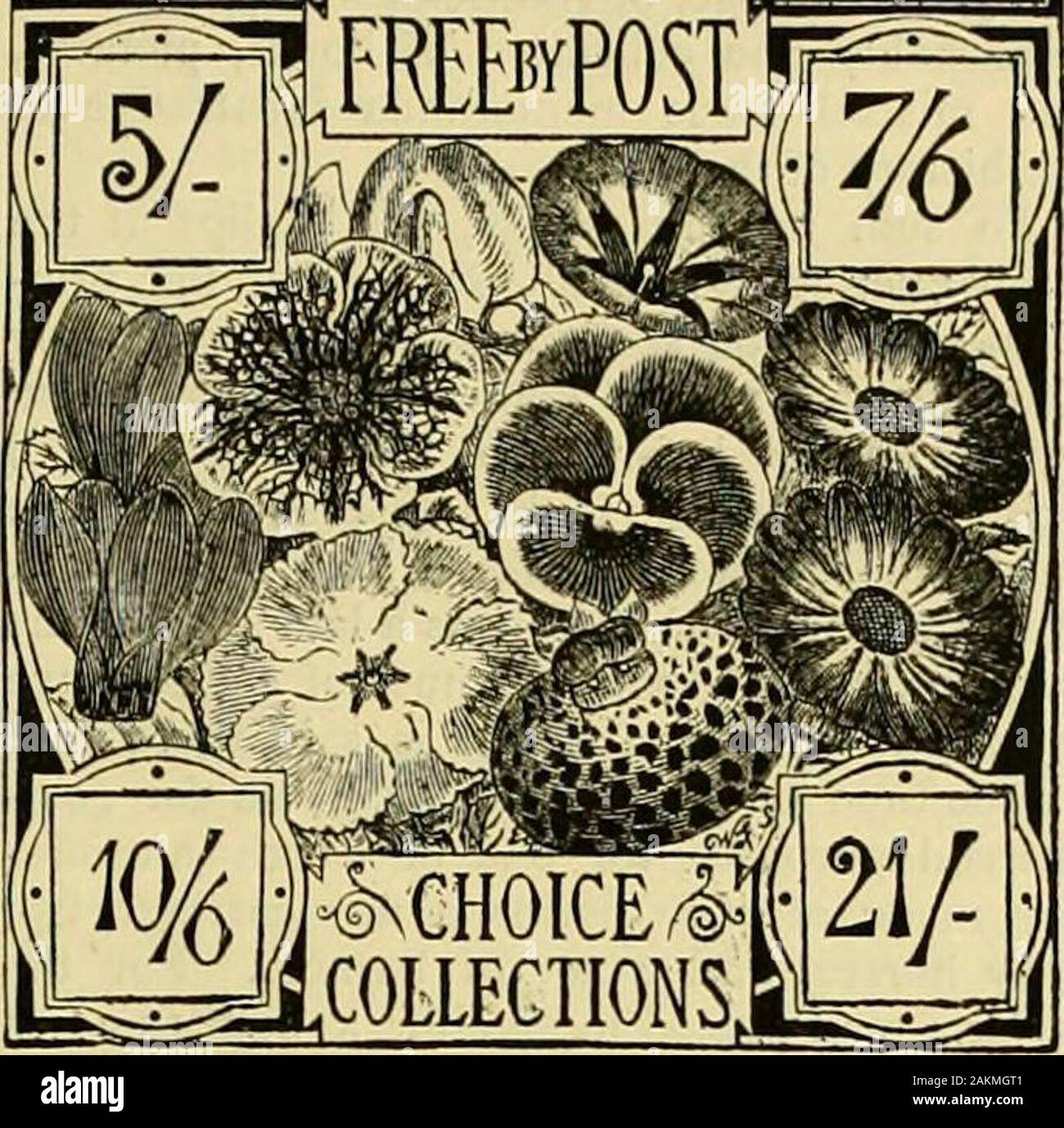 The Gardeners' chronicle : a weekly illustrated journal of horticulture and allied subjects . SUTTONS CHOICE Flower Seeds, FREE BY POST OR RAIL. SUTTONS. TO OBTAIN THE BESTLAWNS, ,CROQUET GROUNDS, LAWN TENNIS GROUNDS,BOWLING GREENS, CRICKET GROUNDS, sow Stock Photo