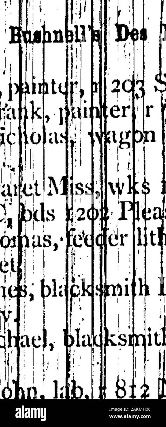 1876 Des Moines and Polk County, Iowa, City Directory . son Samuel,  saltjsman H Mihos, 1 tJoe Ten . Bj^mtmanLuseiminc^-, 9m Walker. [ : I  lUaslinJohn, lab, r 812Ninth. I I ,..