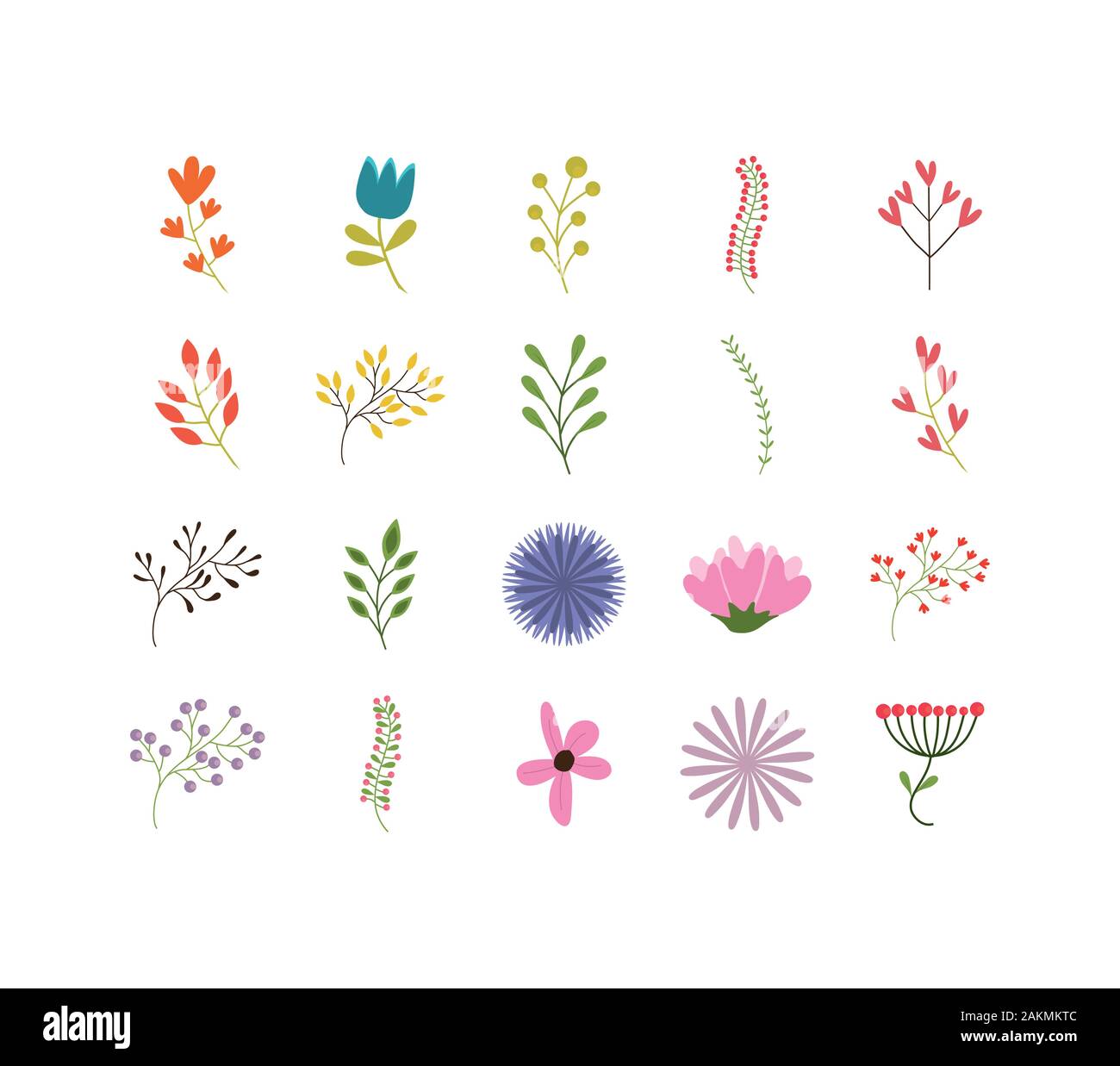 Natural flowers and leaves set design, floral nature plant ornament garden decoration and botany theme Vector illustration Stock Vector