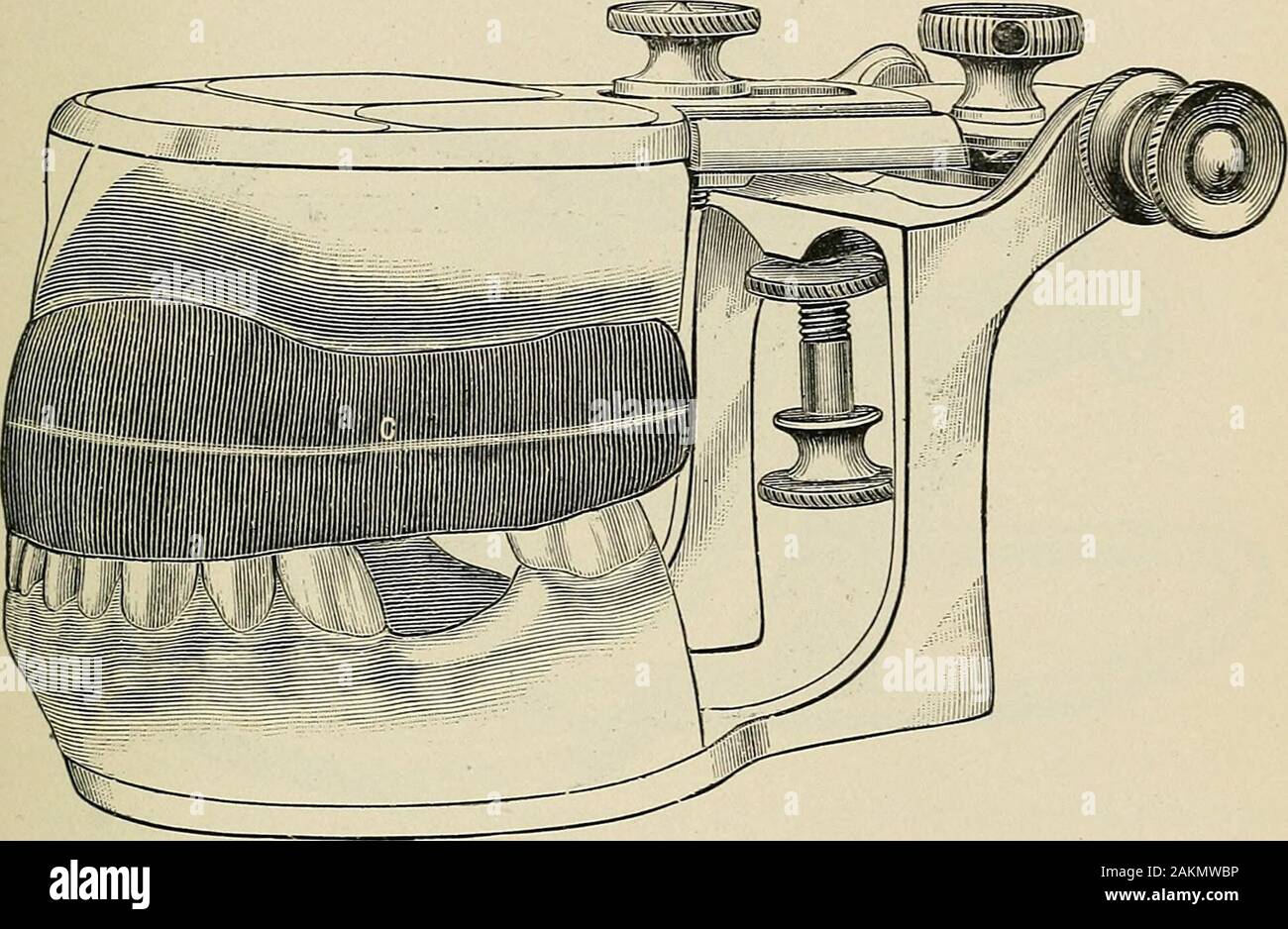 A practical treatise on mechanical dentistry . ving been previously securedfrom a wax or modeling compound impression) should be secured inthe articulator as illustrated in Fig. 102. Articulators.—Various articulators have been devised. Fig.103 illustrates one of the simpler forms, while a very ingenious andnovel device has been brought to the notice of the profession byDr. W. G. A. Bonwill, to which we give considerable space. Theinventor has characterized it as the Anatomical Articulator, anddescribes it as follows: ENTIRE DENTURES ATTACHED TO SWAGED PLATE-BASE. 243 It is modeled on the same Stock Photo