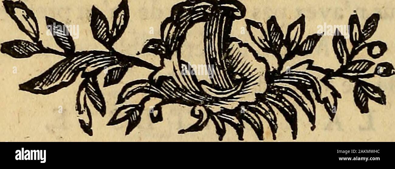 L'amant bourru : comédie en trois actes et en vers libres; représentée par les comédiens Français ordinaires du Roi, le mercredi 14 août 1777Dédiée a la Reine . Marquïfe faitjîgne au Comte de n y point aller. )Cette fcène pour moi ne fera pas rlfible.Je ne crois pas devoir fi fort men réjouir. M. DE PIENNE. Avec bien du plaifir je ferai le meffage  , ^ Vous navez pas befoin de men preffer :Mais dun femblable perfonnageIl fera mal-aifç de vous débarraffer. L A COMTES SE.li nimporte, eflayez. Avec impatience Nous attendrons votre retour. 32 L^AMANT BOURRU, M. DE P I E N N E.; Je vais vous obéir Stock Photo