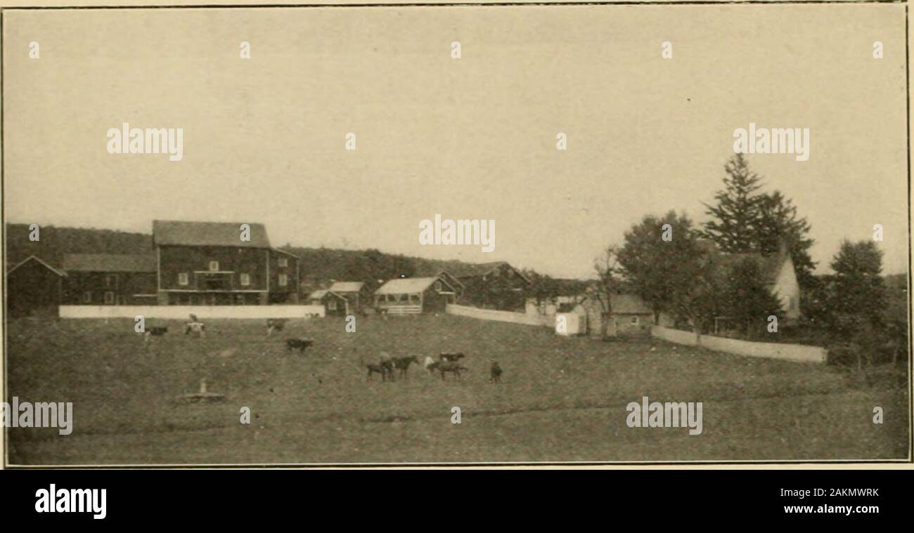 Flemington Where Town And Country Meet Glass Company Has Been Located Here Sincenovember 1902 This Firm Had Previously Carried On Businessin New York City But Attracted By The Liberal Offer Made