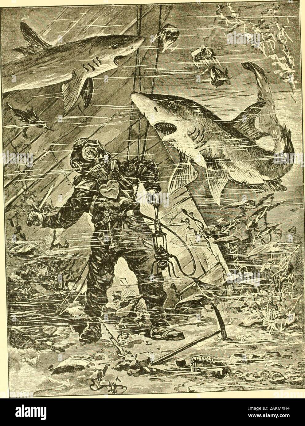 Hunting And Trapping Stories A Book For Boys Fish Weighing Half A Ton Especially When It Is Armed With A Formidable Sword Along The Coasts Of Sicily And Italy The Swordfish Is