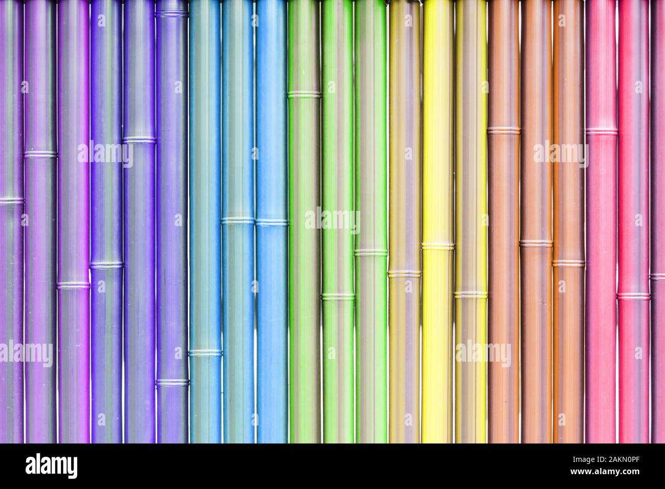 Vertical dry bamboo colorful wall texture for background. Stock Photo