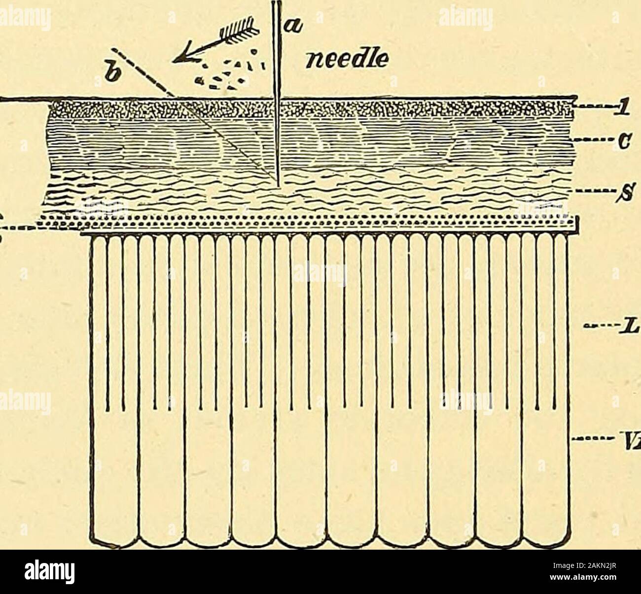 Thread through needle hi-res stock photography and images - Page 6