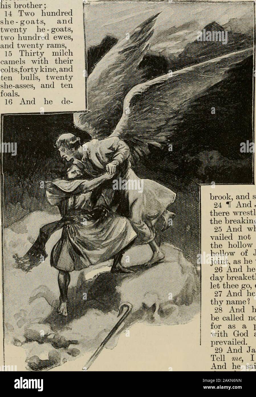 The art Bible, comprising the Old and new Testaments : with numerous illustrations . fatherAbraham, and God of my father Isaac, theLoKD which saidst unto me, Return unto thycountry, and to thy kindred, and I will dealwell with thee: 10 I am not Avorthy of the least of all themercies, and of all the truth, which thou hastshewed unto thy servant; for with my staffI passed over this Jordan; and now I ambecome two bands. 11 Deliver me, I pray thee, from the handof my brother, from the hand of Esau : for I 41 Jacobs presents to Emu. GENESIS 32. fear him, lest he will come and smite me, andthe mothe Stock Photo