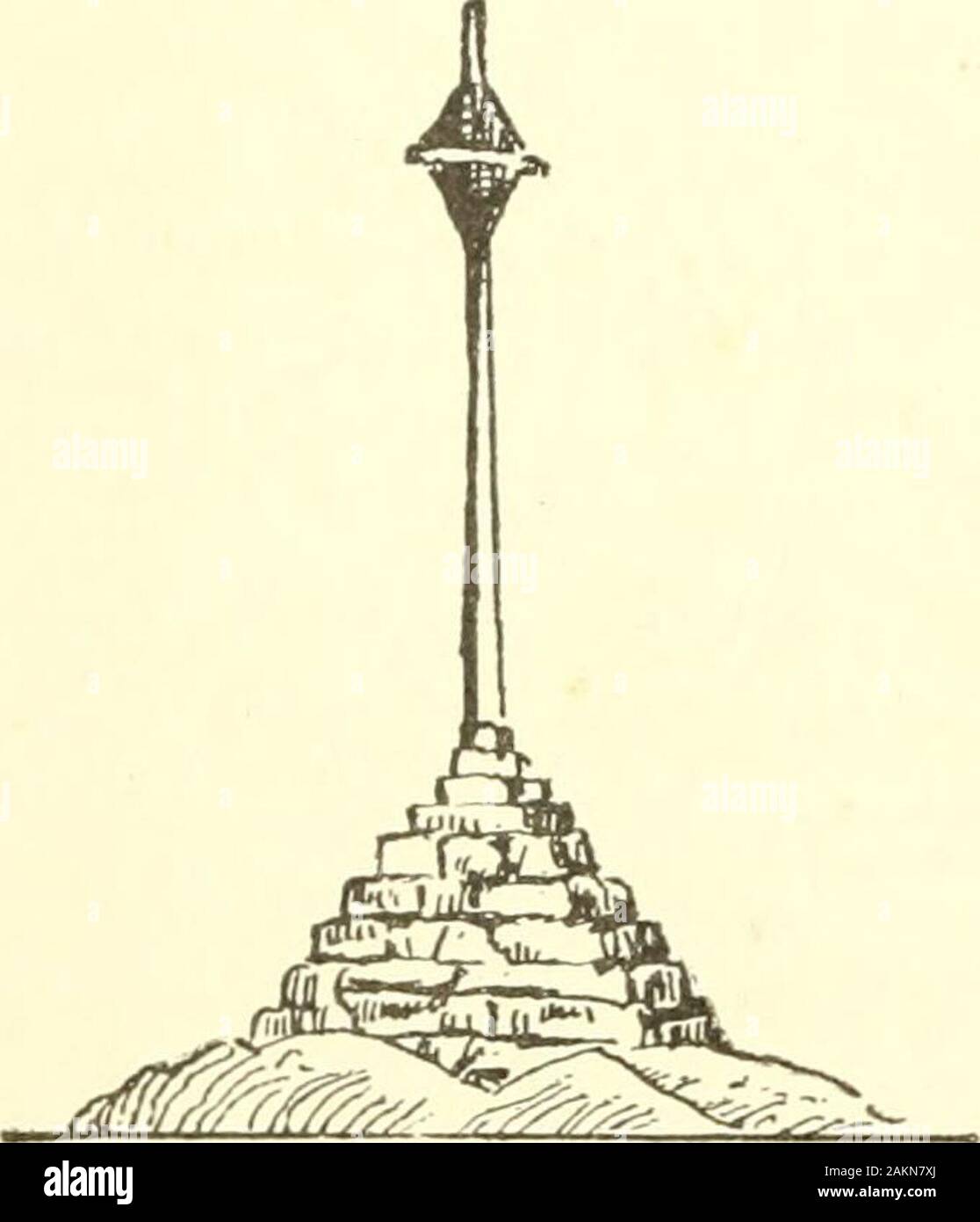 Toppling tree hi-res stock photography and images - Alamy