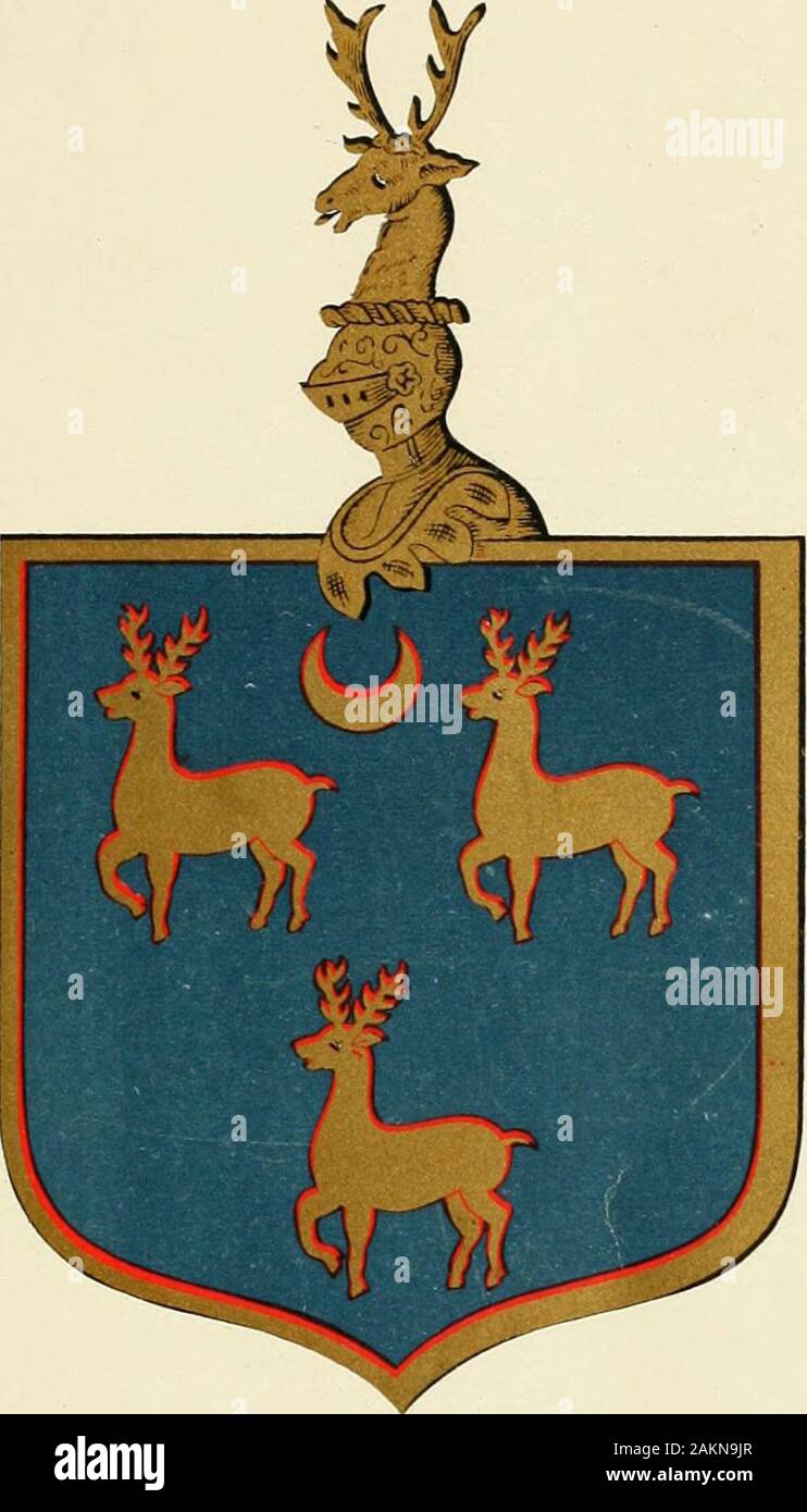 The Greene family and its branches from A.D861 to A.D1904 . Stock Photo