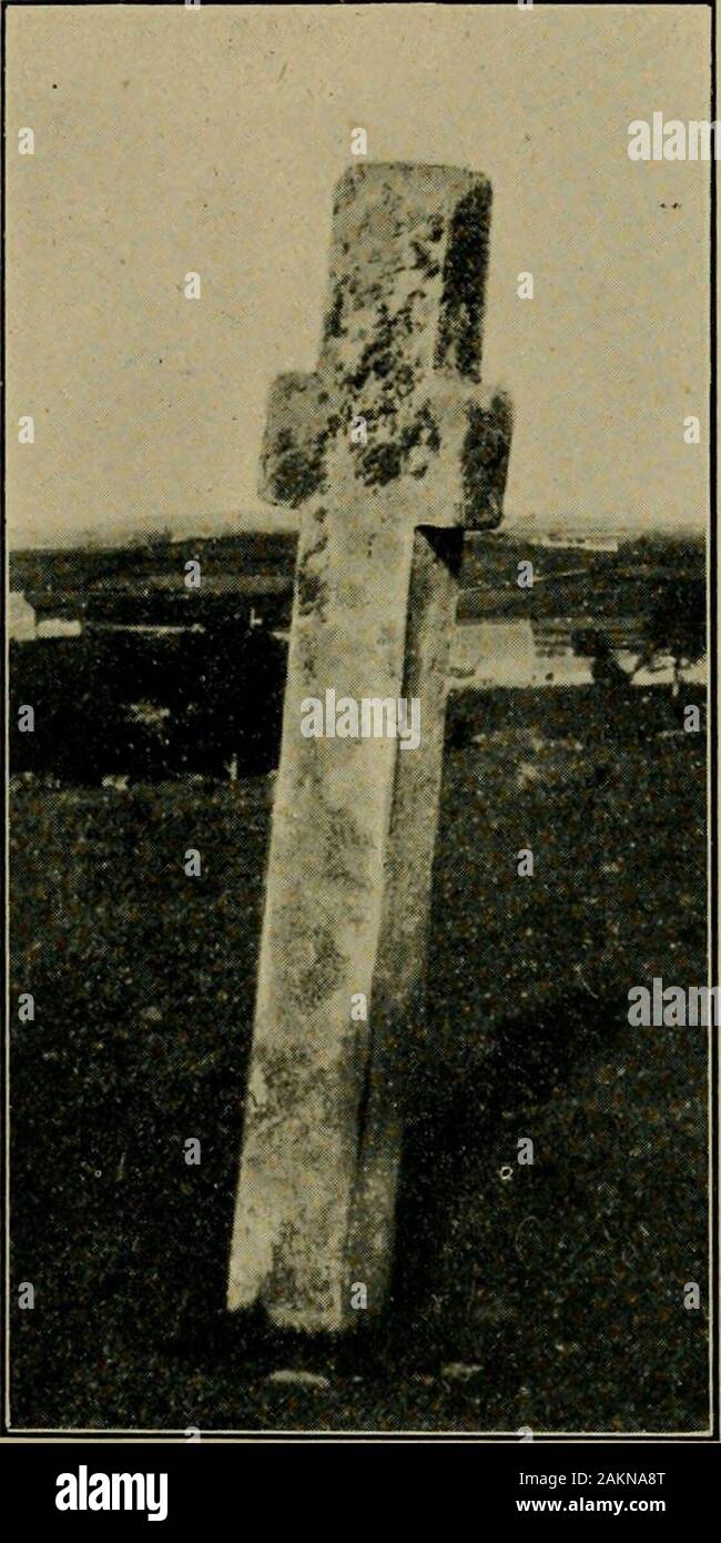Journal of the Royal Society of Antiquaries of Ireland . the Fahan cross ; and the edges of the stone bear, onthe south side thres rude figures, one above another, and on the northtraces of an interlaced pattern. The east is the principal face, andis occupied by a fine cross of two broad bands, having triquetra-shaped ends ; the cross suggests the Greek form, though the lowerhmb is slightly elongated. The angles of the stone above the armsof the interlaced cross are filled by separate triquetral, one of whichhas an extra twist; and the corresponding lower angles with PROCEEDINGS 187 zoomorphic Stock Photo
