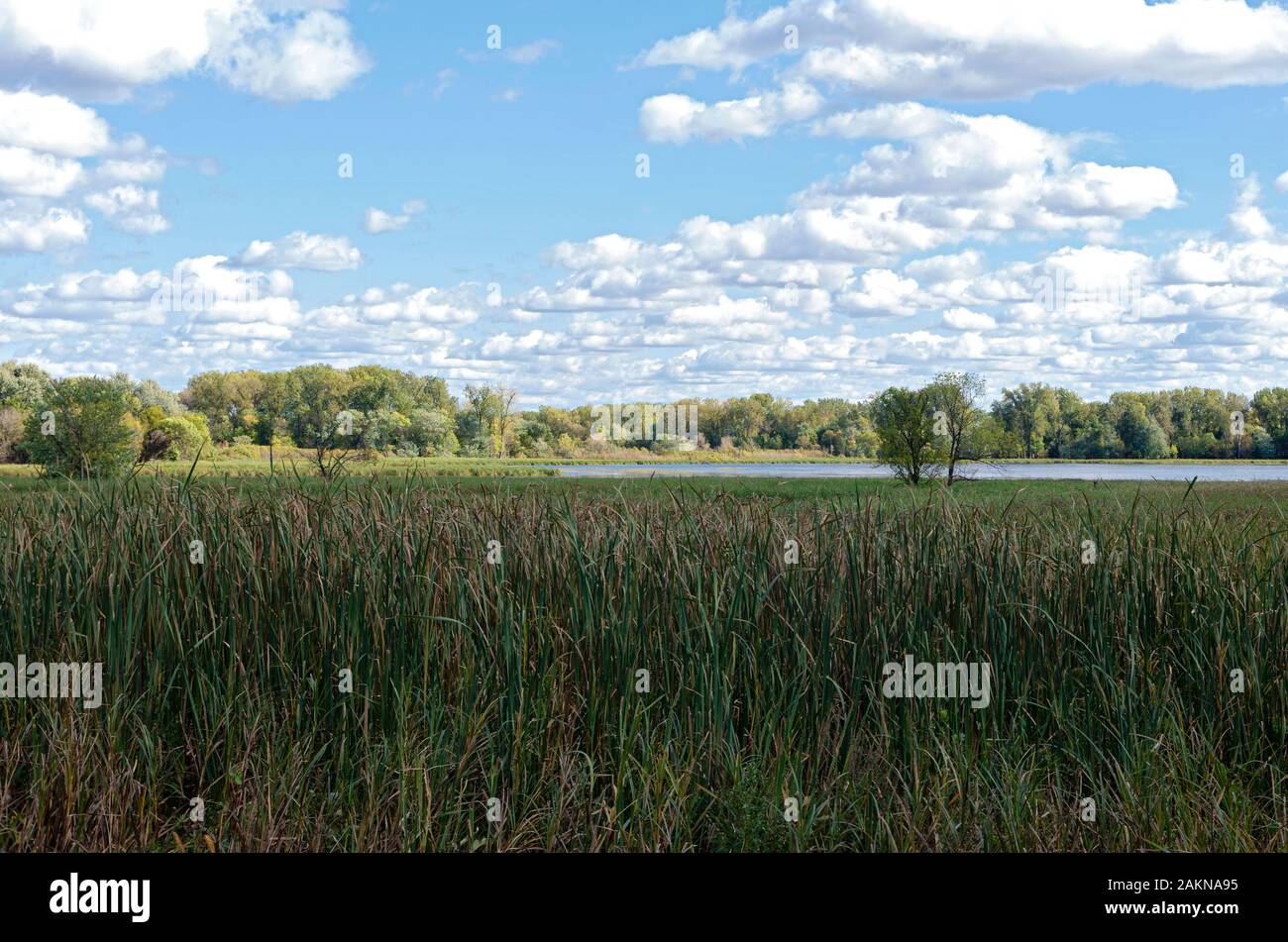 Hogback ridge ponds hi-res stock photography and images - Alamy