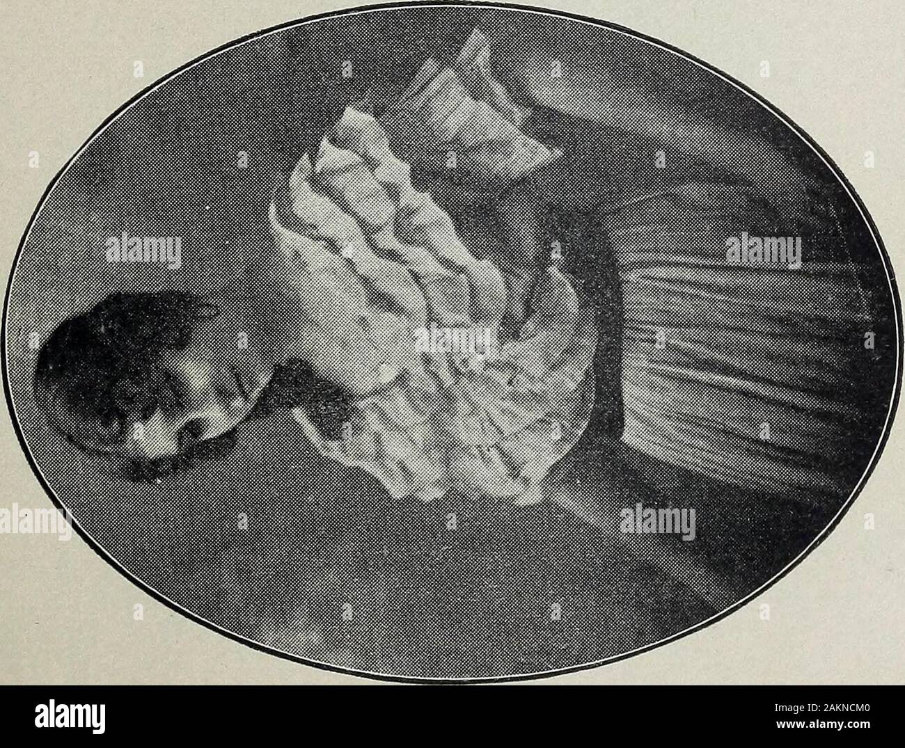 U Uo Oo C High Resolution Stock Photography And Images Alamy U Uo Oo C High Resolution Stock Photography And Images Alamy