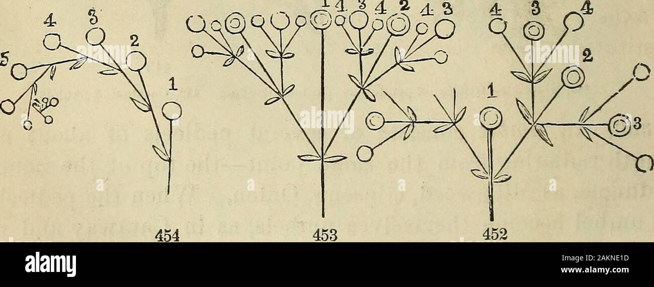 The American botanist and florist; including lessons in the structure ...