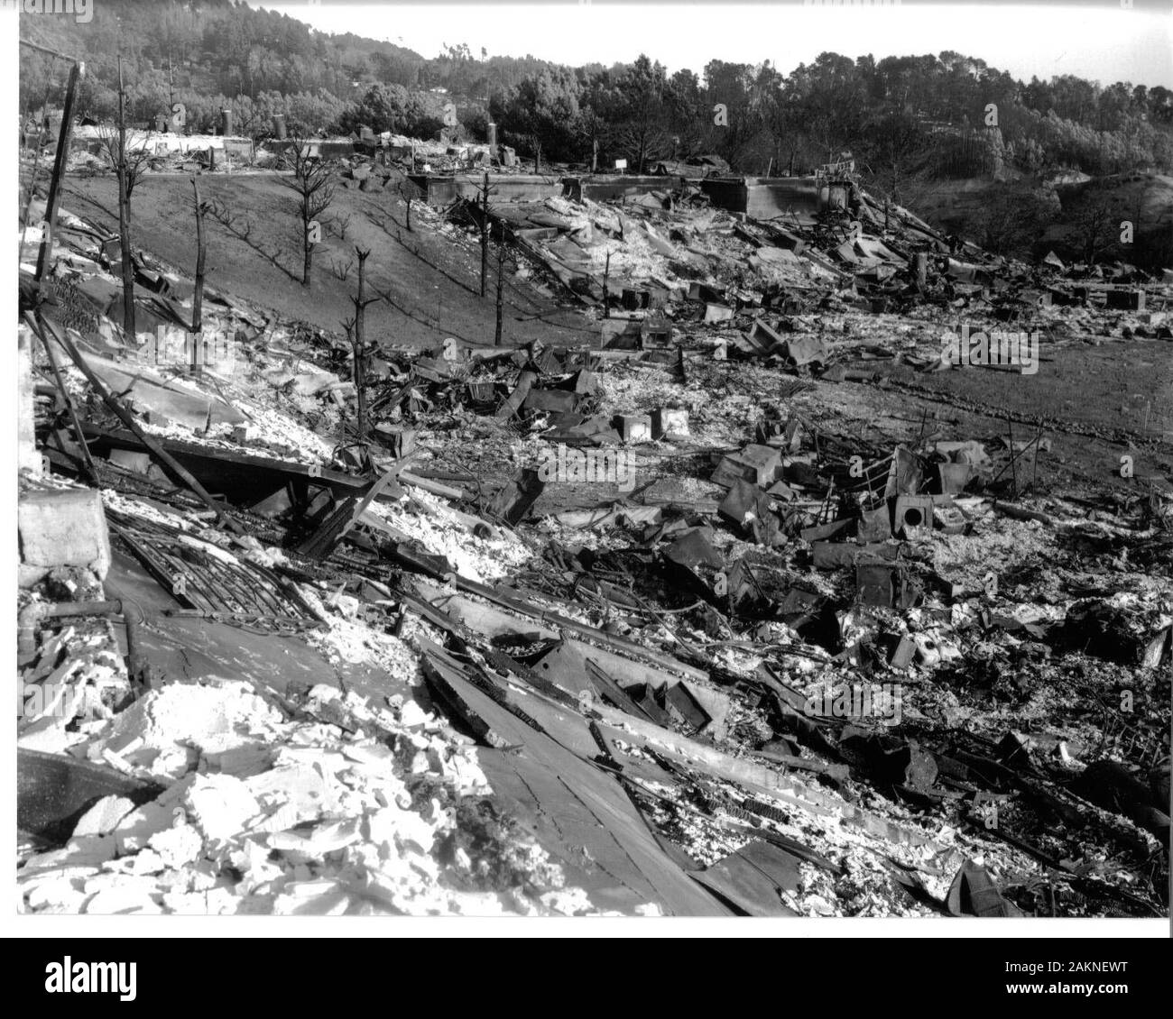 60s Berkeley, San Francisco Riots,1960s Stock Photo - Alamy