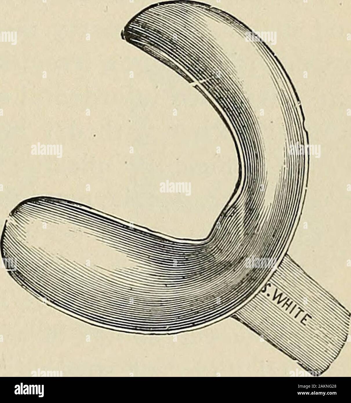 A Practical Treatise On Mechanical Dentistry Ss Impression Of Themouth In Wax There Are Points Not Readily Accessible To The Fingers Where The Wax Departs From The Ex Ternal And Posterior Borders Of Thejaw