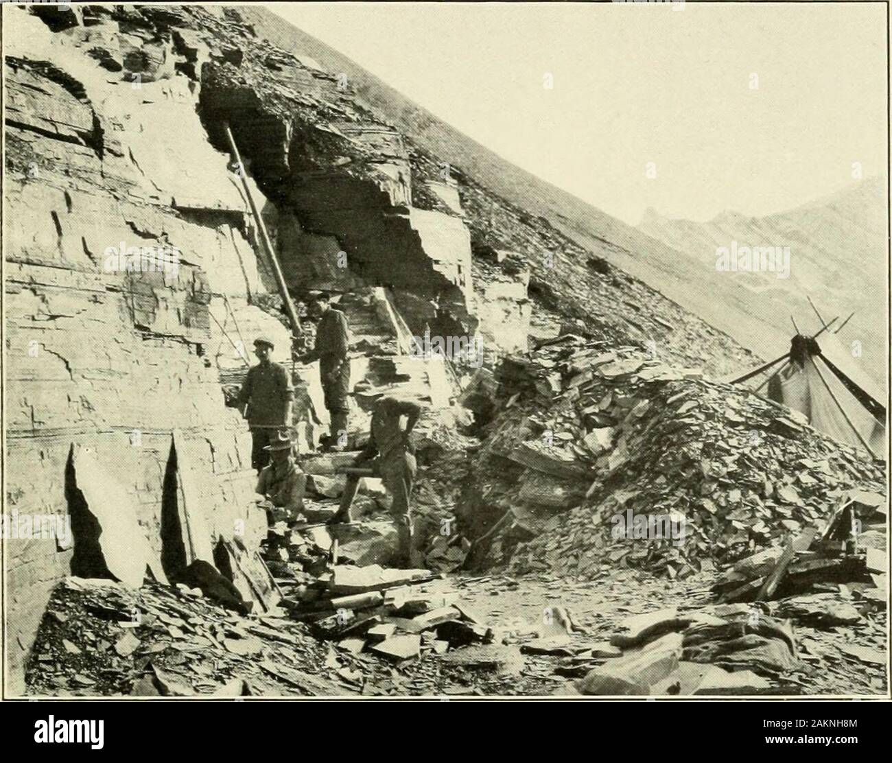 Expeditions Organized Or Participated In By The Smithsonian