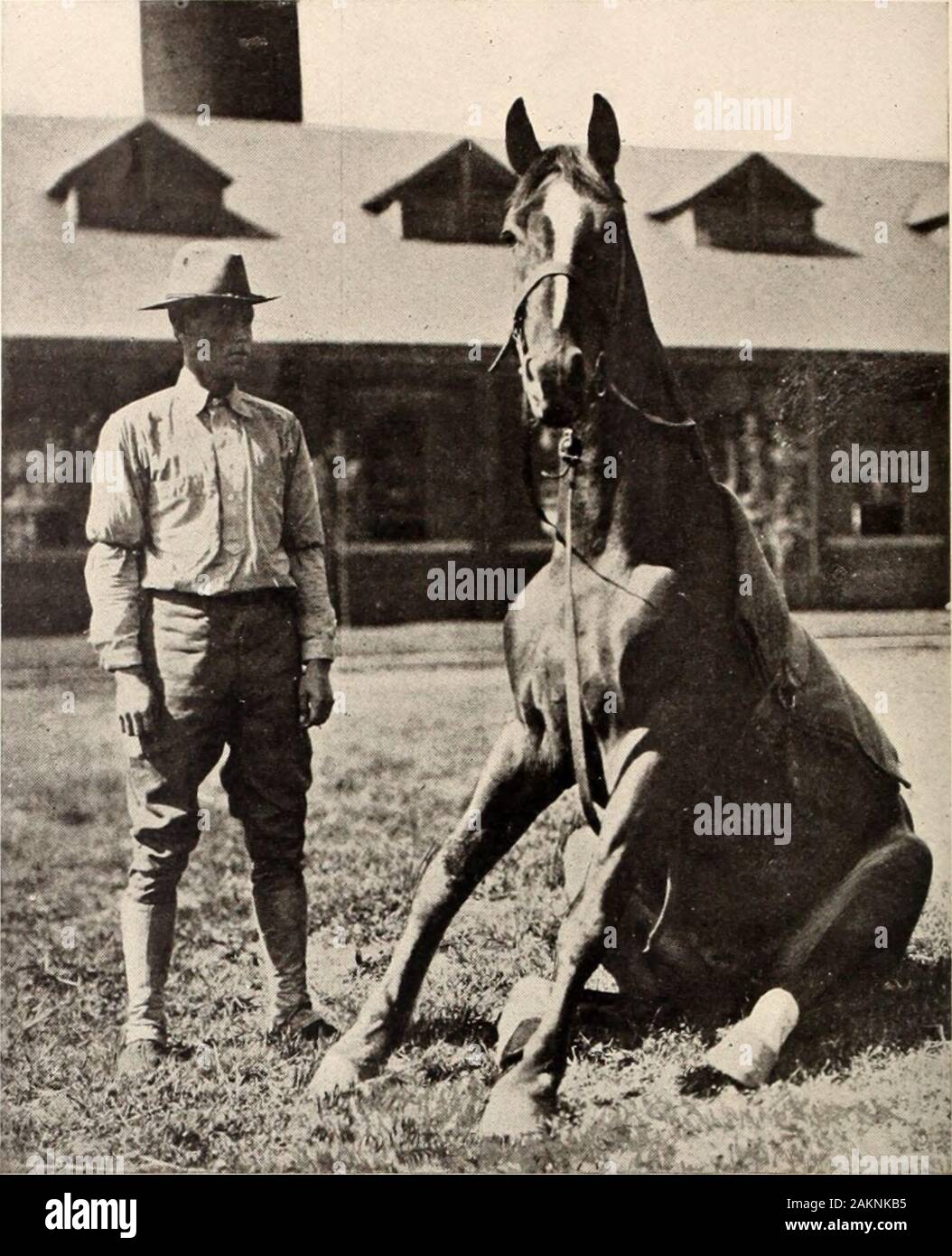 American homes and gardens . withina month. This statement was probably based on the factthat the cavalry branch of the military service were, at thetime the war with Spain commenced, all well seasoned sol-diers. They had spent the better part of their lives in theWest, fighting much of the time, enduring hardships almostall of the time. The ten regiments of cavalry, split up intosmall units and scattered over thousands of square miles ofterritory, were used to restrain any disposition that mightbe manifested by the red man to leave the happy home apaternal government had provided for him and Stock Photo