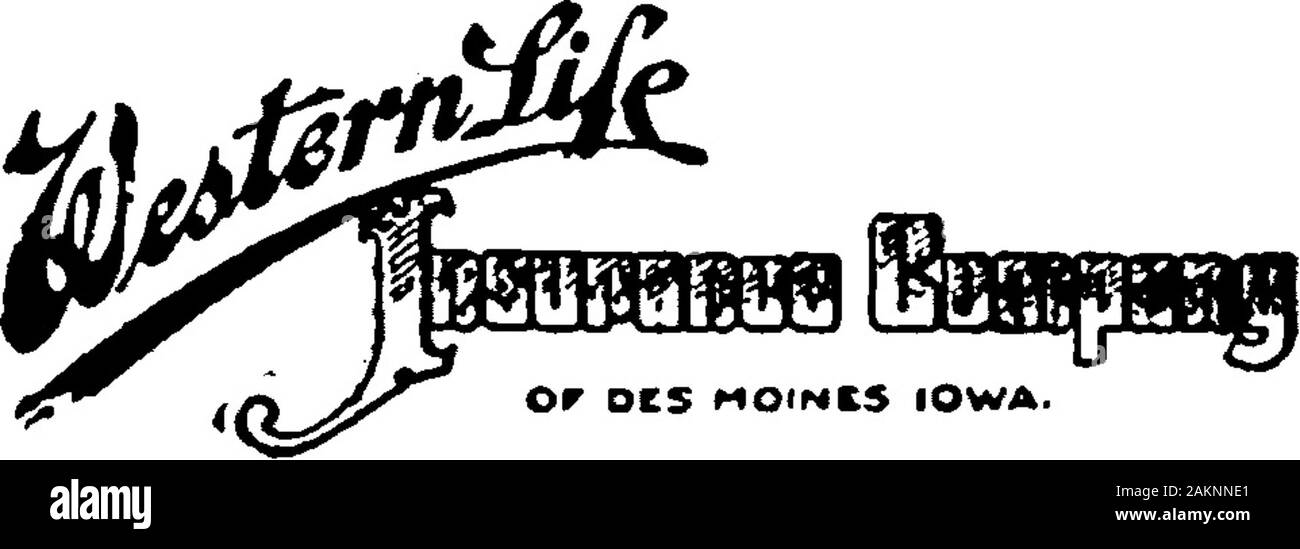 Wolfsee Cut Out Stock Images & Pictures Alamy