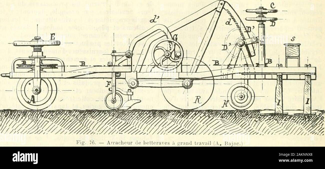 Journal d'agriculture pratique . est poussée à la main jusquà cequelle soit entraînée par une toile sans fintriangulaire. Avec ces dispositifs il faut toujoursun ouvrier javeleur assis sur un siège à côté decelui du conducteur. Des modifications de détail, dans le méca-nisme denclanchement des raeaux à cheval se LES MACHINES AU CONCOURS GENERAL AGRICOLE DE PARIS 422 rencontrent sur les machines de MM. (iarnier etC« (Redon, Ille-et-Vilaine) et Puzenat aîné,(Bourbon-I.ancy, Saône-et-Loire). Un gra^nd arracheur de betteraves, k six rangs estexposé par M. Bajac ; cette machine (fig. 76 et 77),dest Stock Photo