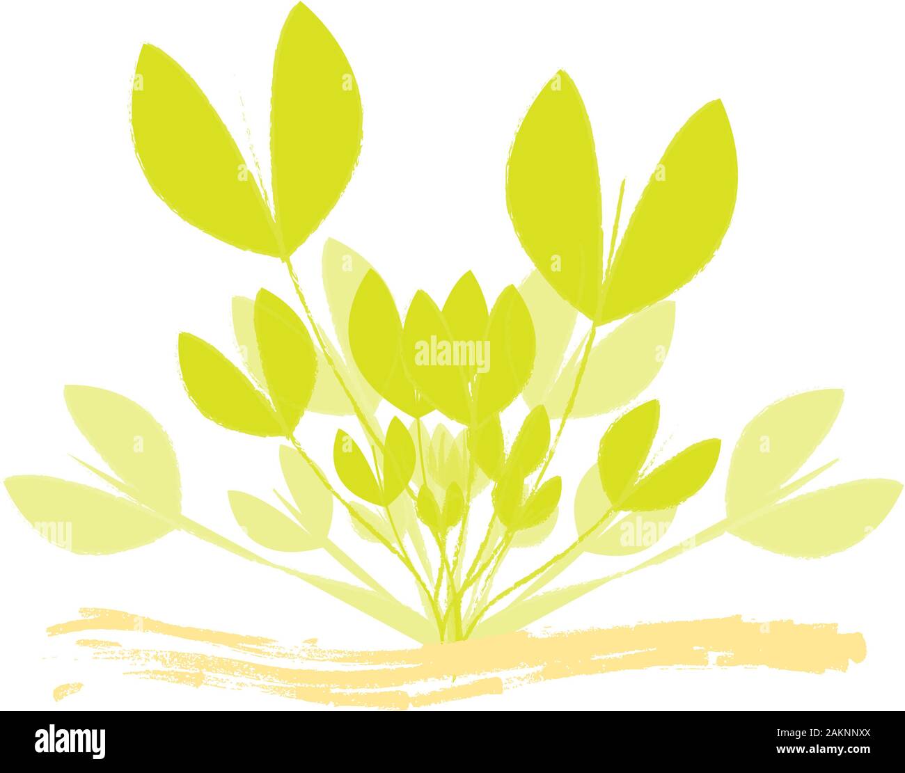 Abstract plant VECTOR Drawing Stock Photo