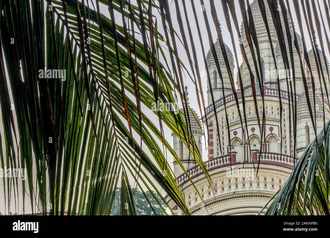 KOLKATA,WEST BENGAL/INDIA-MARCH 22 2018:Dakshineswar Kali Temple with palm leaves in focus in the foreground. Stock Photo