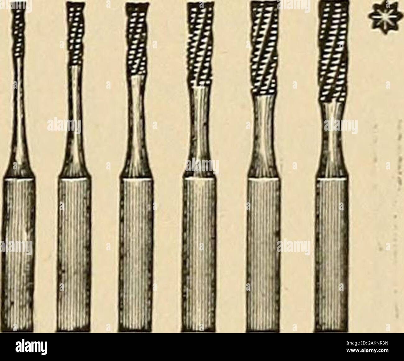 Principles and practice of operative dentistry . iFissure, pointed.. Dentate. 369 illustrate these forms. The pointed fissure bur is by far the most service-able instrument for opening very small cavities or fissures. Its shape facili-tates its entrance into the cavity, while it also more readily follows a fissure.Spear-pointed drills are not so serviceable for this purpose, on accountof the fact that they are frequently broken by being caught in the irregu-larities of the cavities or in the fissures. 19 290 OPERATIVE DENTISTRY. In the larger cavities enamel-chisels are much more useful for op Stock Photo