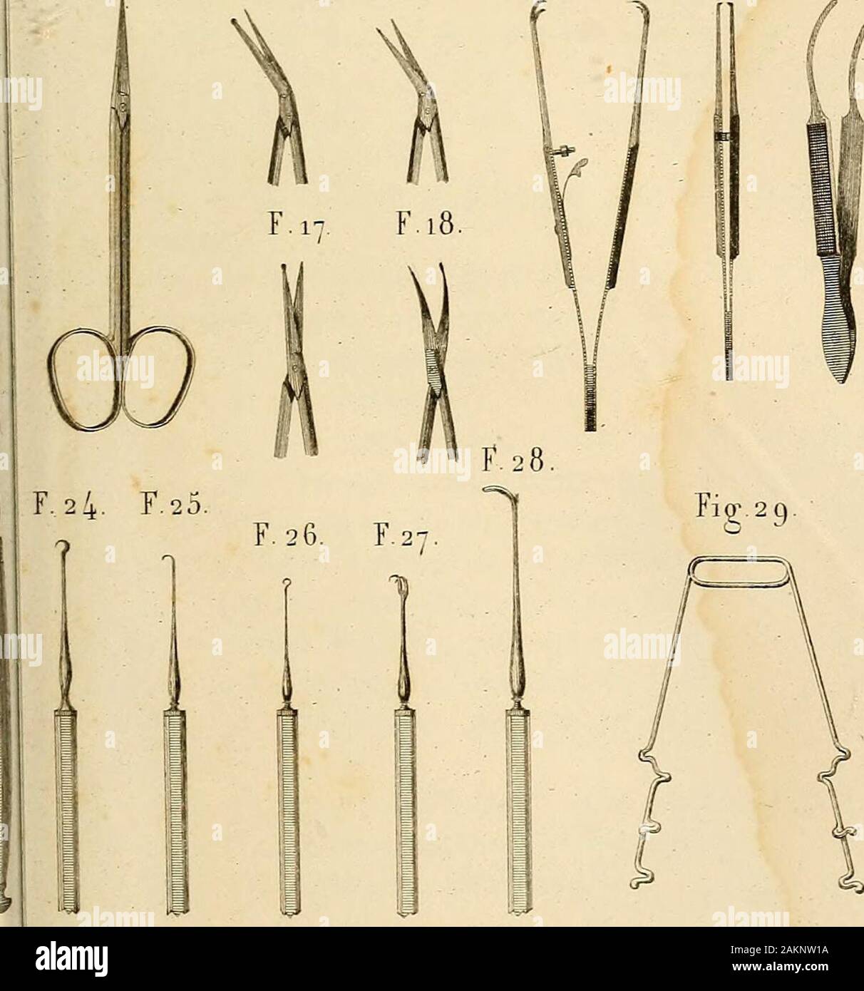 Instruments de dissection hi-res stock photography and images - Alamy