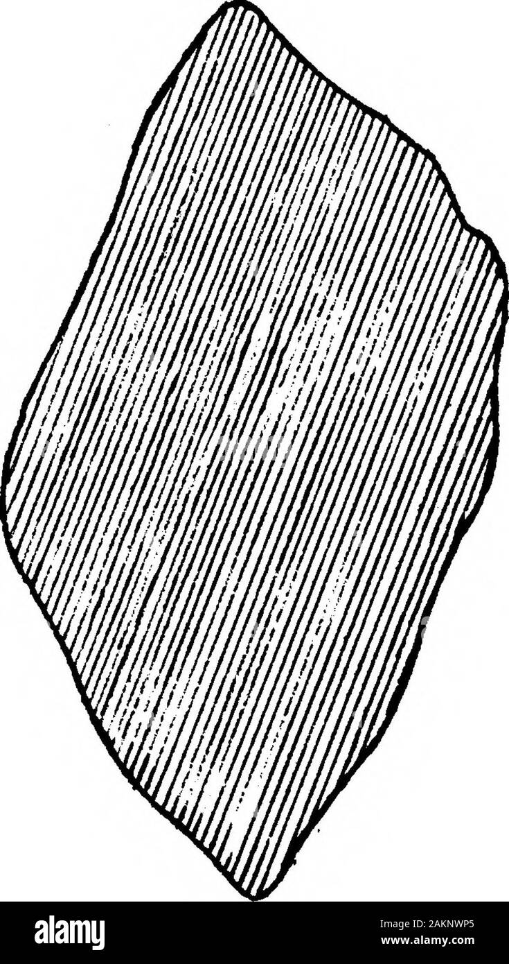 The Transition from Rostro-Carinate Flint Implements to the Tongue-Shaped Implements of River-Terrace Gravels . sr-Arub. --Cvut&nx? &ctye Post.Ventral surface Ant. rVL£ht lateral surface. Gzttingr edge. 1 — -p,. Gzttcnxj edg&. /- — Section. A—A . Stock Photo