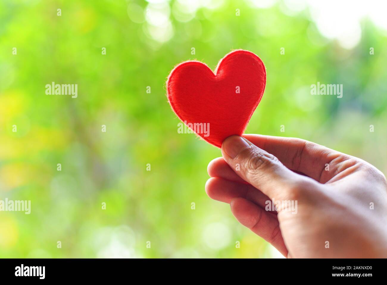 Heart On Hand For Philanthropy Concept Woman Holding Red Heart In Hands For Valentines Day Or Donate Help Give Love Warmth Take Care Stock Photo Alamy