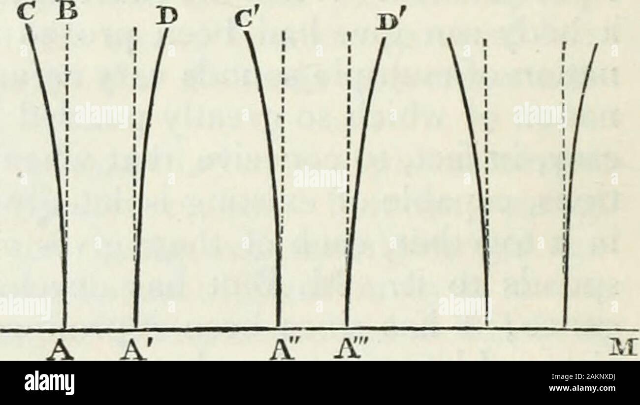 The Philosophical magazine; a journal of theoretical, experimental and applied physics . all the parts of the bow. These multiple imagesare easily explained. Letus suppose that a rod AB,fig.2,deviated towards AC,is left to itself, and thatat the same time it is im-pressed by a movement oftranslation which carriesthe point A in the directionof the line AM. Let us Fig. 2.. traversed by take on AM the lengths A A, AA, A A.the point A in the time which each simple oscillation takes toaccomplish. When the point A is at A, the rod will be atAD at the end of its first simple oscillation ; in the same Stock Photo