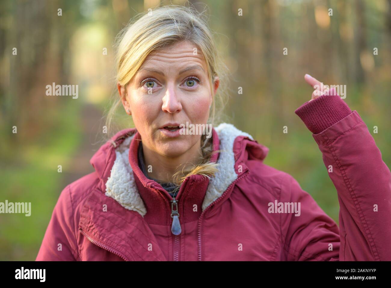 Blond woman in red jacket showing up her long sleeve hiding the hand almost entirely, standing outdoors in the forest and looking at camera with surpr Stock Photo