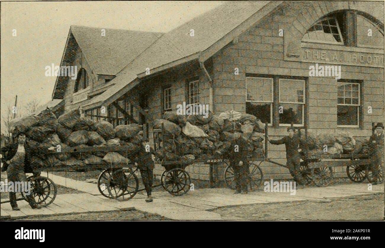 Gleanings in bee culture . 1907 GLEANINGS IN BEE CULTURE. 1551. One-third of an ordinary issue of Gleanings in Uncle Sams mail-sacks ready to go over to the train.building in the background is the office. ous engravings that are here reproduced,together with the large one in the center ofthe journal, will give one an idea of the busylife in the publishing department of The A.1. Root Co. Perhaps a few figures may be interestingas showing the amount of work turned outin the house that Gleanings built. By con-sulting our bills for paper we find that wehave turned out something like 300,000 lbs.of Stock Photo