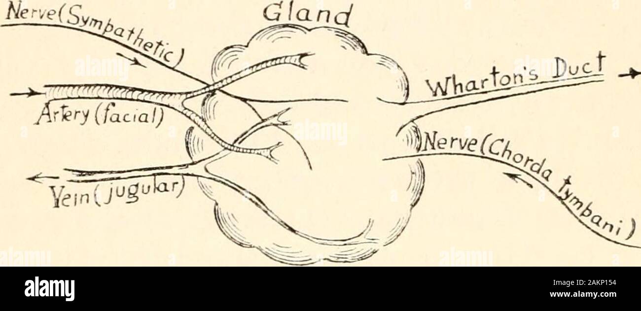 The philosophy of biology . uppose thata strong solution of common salt in  water is injectedinto the blood stream : what happens is that osmosistakes  place, the water in the surrounding lymph