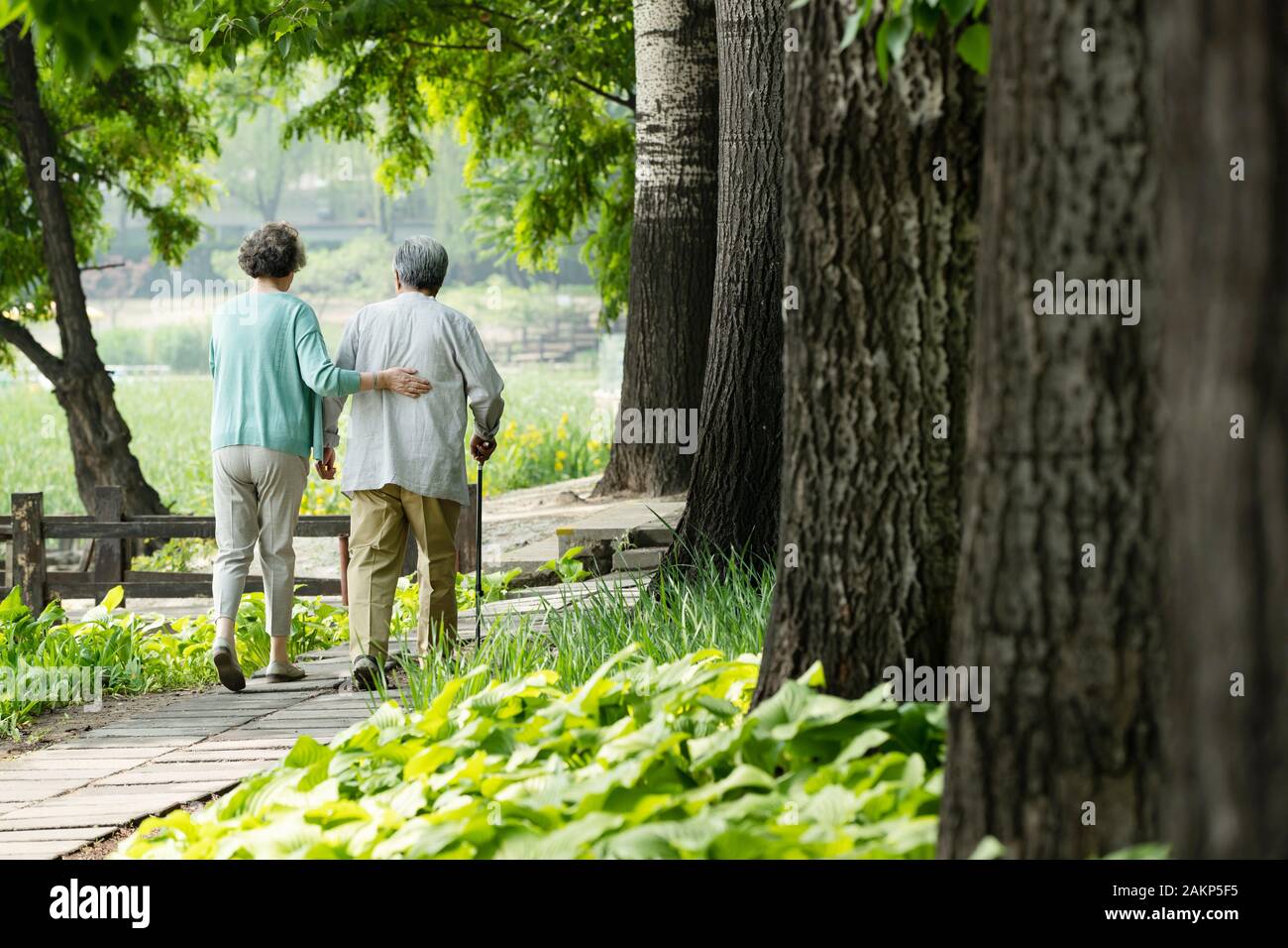Rear view of elderly women walking in park hi-res stock photography and ...