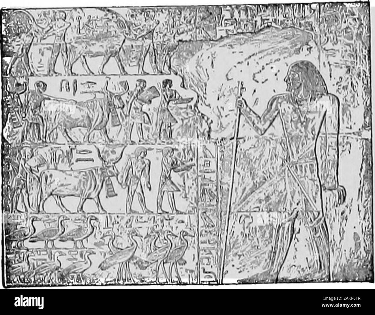 History of Europe, ancient and medieval: Earliest man, the Orient, Greece and Rome . ond the boundaries of Egypt. A few surviving blocks from afallen pyramid-temple (Fig. 11) south of Gizeh bear carved andpainted reliefs showing us the ships which he ventured to sendbeyond the shelter of the Nile mouths far across the end of theMediterranean to the coast of Phoenicia (see map, p. 42). Thiswas in the middle of the twenty-eighth century B.C., and thisrelief contains the oldest known picture of a seagoing ship (seeAncient Times, Fig. 41). Yet at that time the Pharaoh hadalready been carrying on s Stock Photo