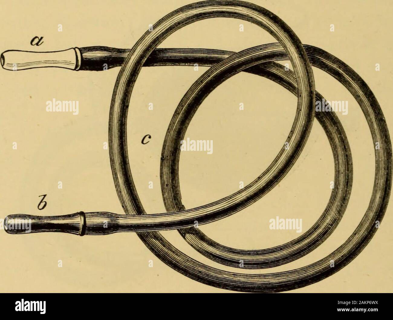 A treatise on the diseases of the ear including the anatomy and ...