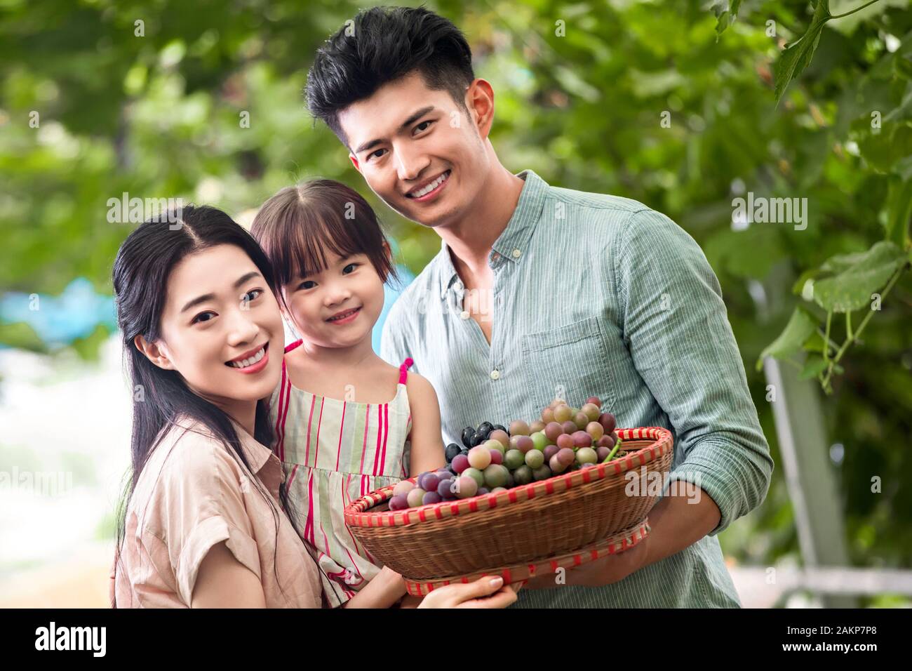 Oriental family picking grapes Stock Photo - Alamy