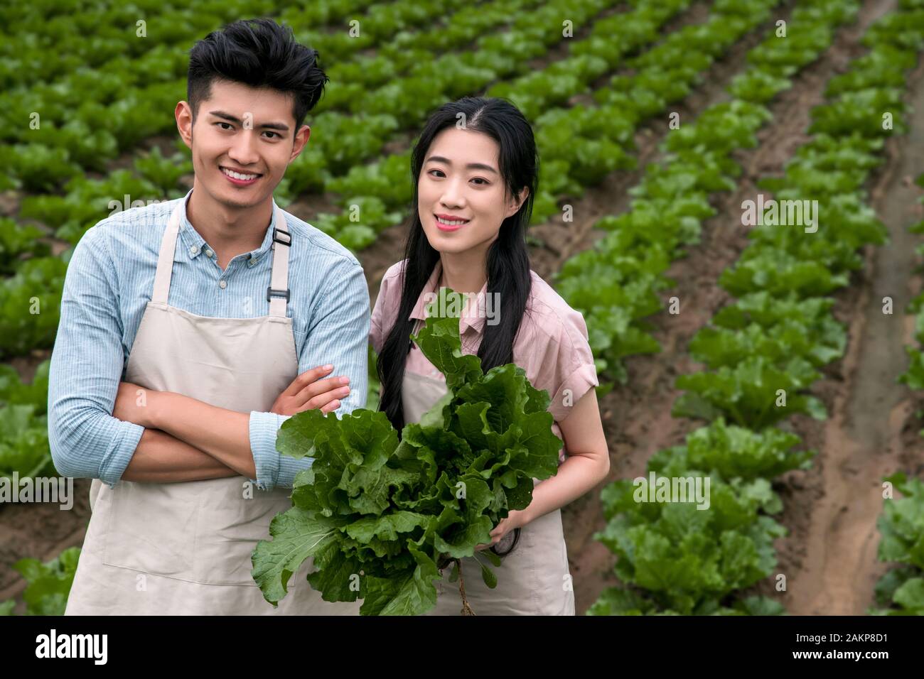 Indian women picking up hi-res stock photography and images - Alamy
