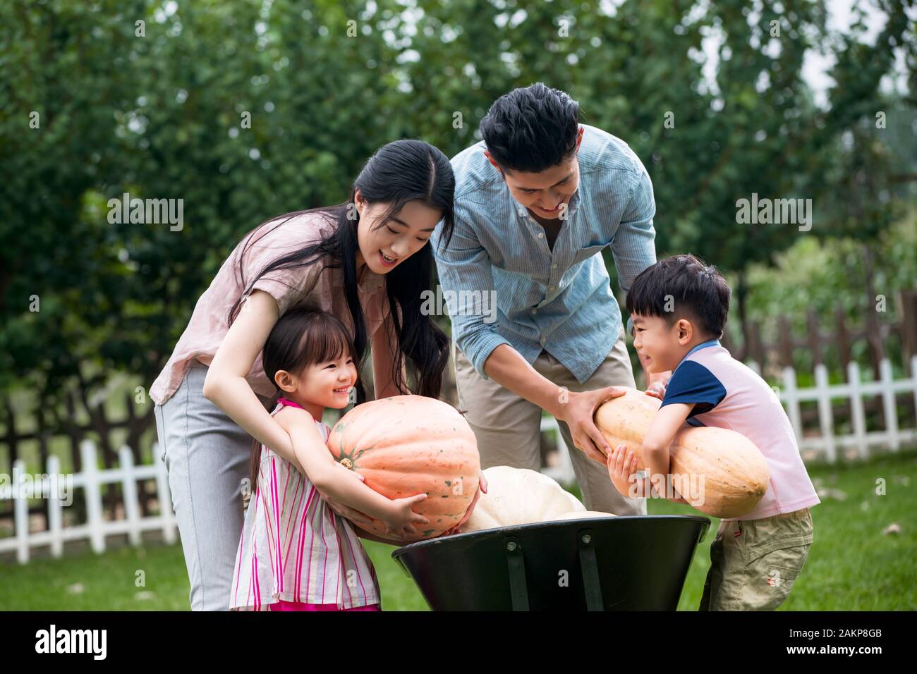 Oriental family of four picking pumpkins Stock Photo - Alamy