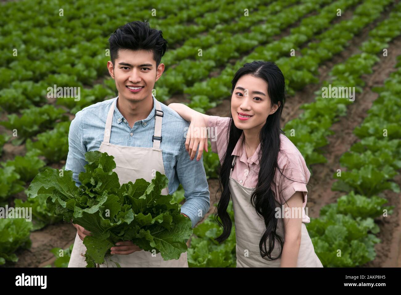 Oriental couple pick vegetables Stock Photo - Alamy