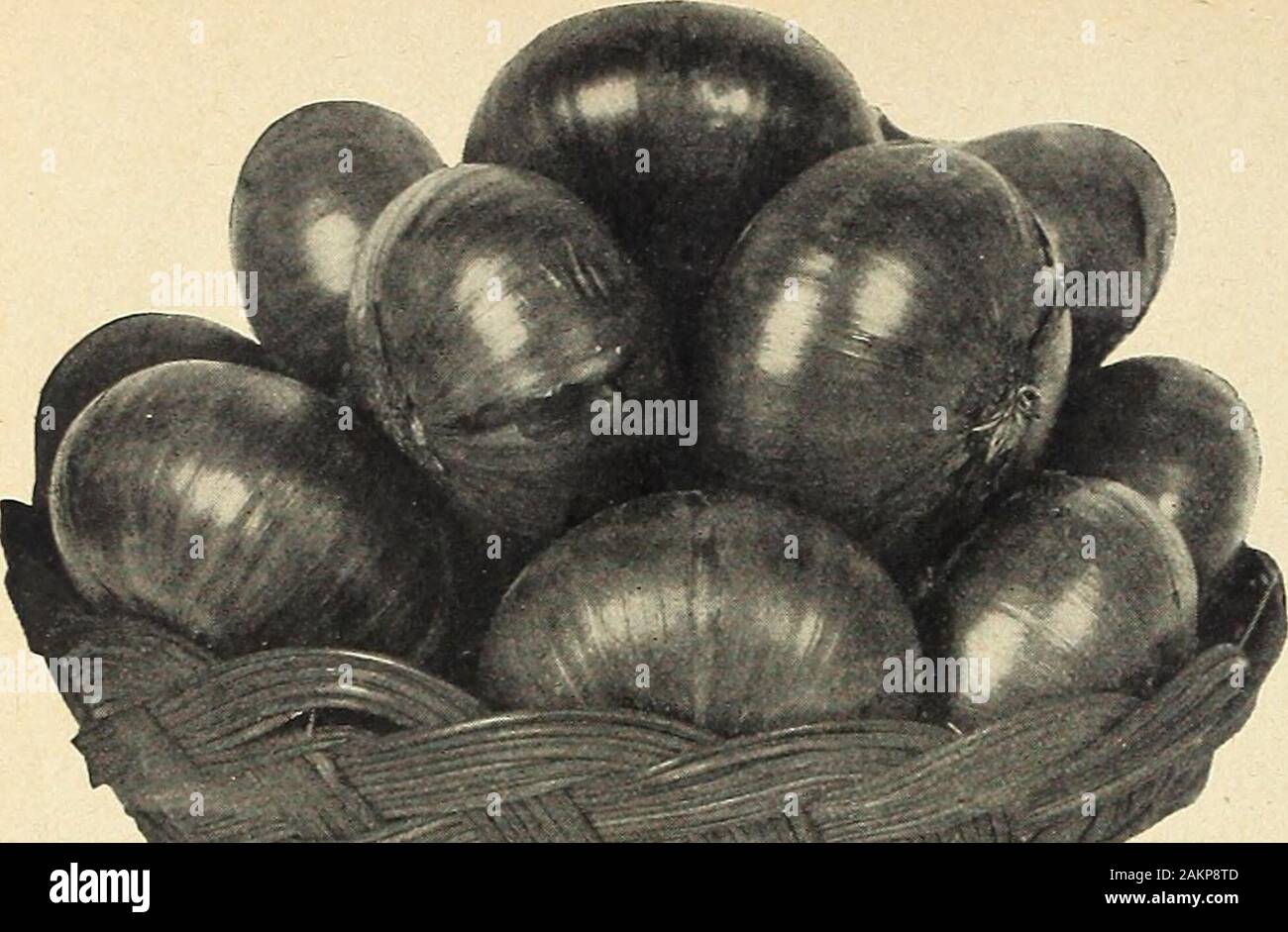 Mild Flavored Onions High Resolution Stock Photography and Images - Alamy