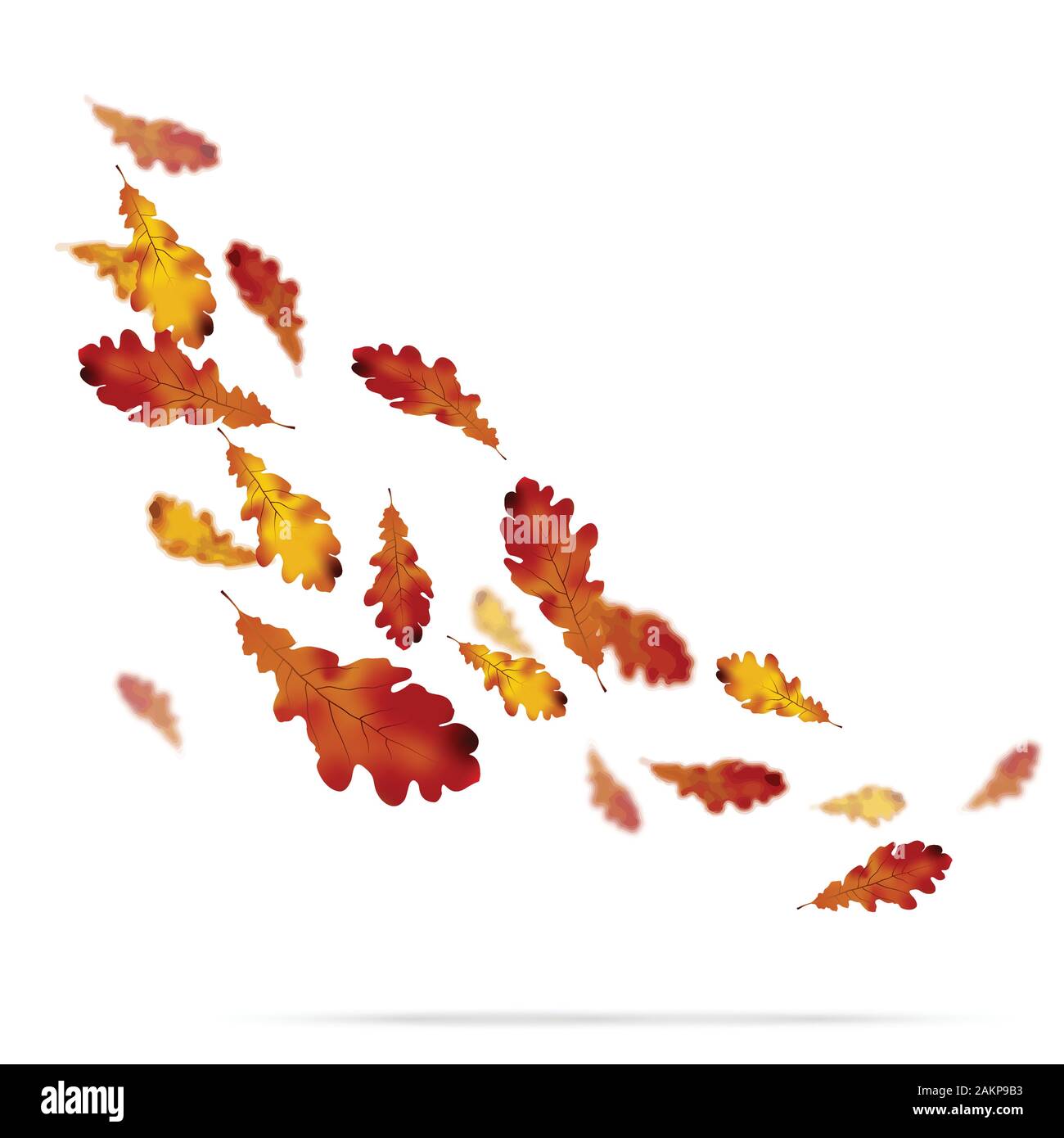 Autumn leaves on white background Stock Vector Image & Art - Alamy