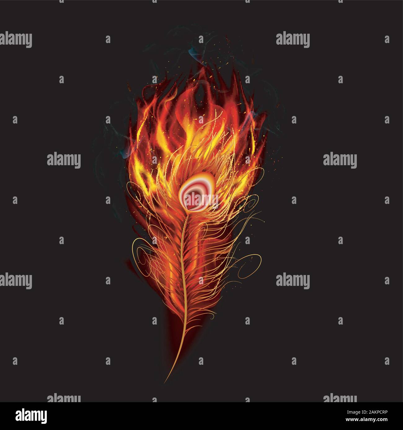 Fire burning peacock feather with black background. vector Stock Vector