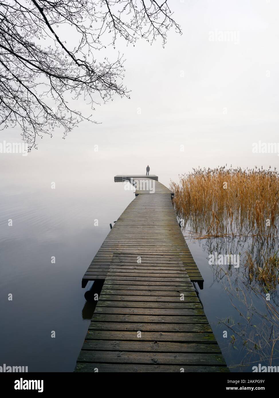 Staring into mist hi-res stock photography and images - Alamy